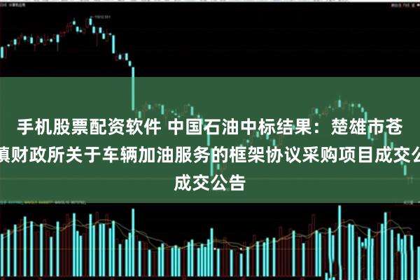 手机股票配资软件 中国石油中标结果：楚雄市苍岭镇财政所关于车辆加油服务的框架协议采购项目成交公告