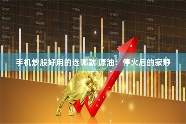 手机炒股好用的选哪款 原油:停火后的寂静