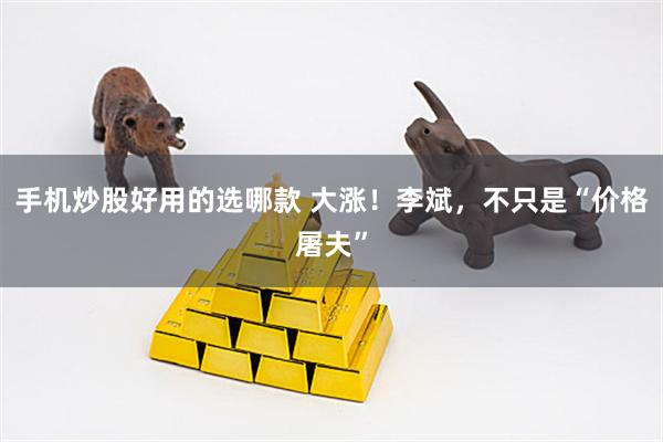 手机炒股好用的选哪款 大涨！李斌，不只是“价格屠夫”