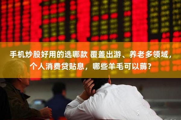 手机炒股好用的选哪款 覆盖出游、养老多领域，个人消费贷贴息，哪些羊毛可以薅？